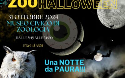 ZooHalloween 2024 al Museo di Zoologia